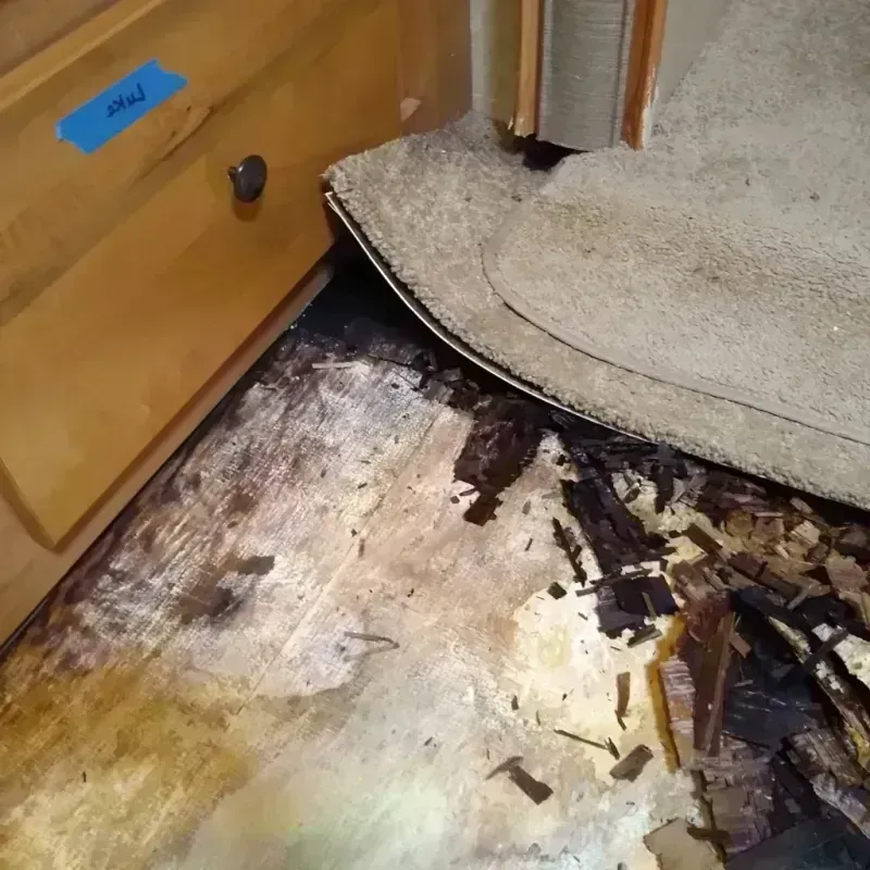 Best Wood Floor Water Damage Service in Steuben County, NY